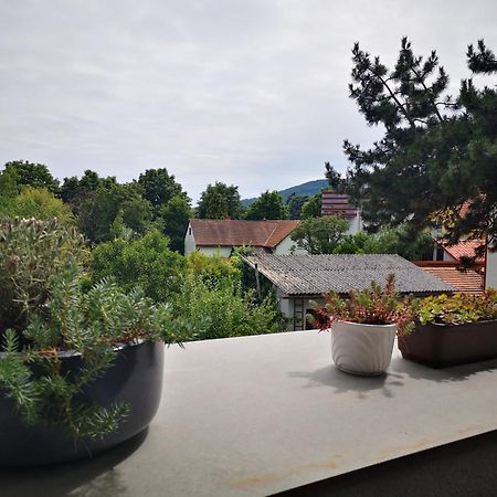 Spacy Apartment Next To The Center Of Graz With Terrasse Exterior photo