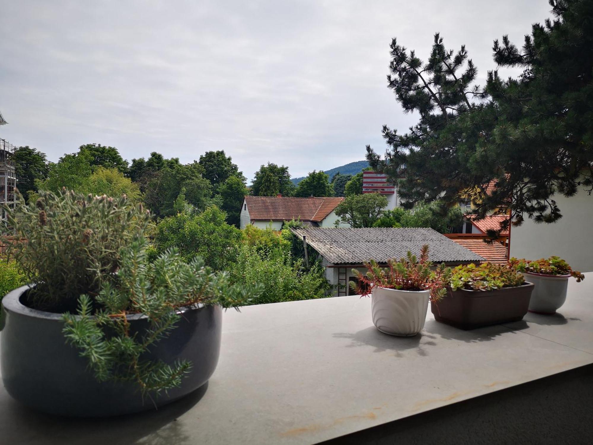 Spacy Apartment Next To The Center Of Graz With Terrasse Exterior photo
